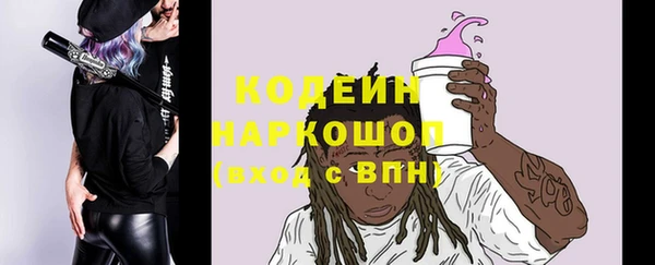 стаф Аркадак