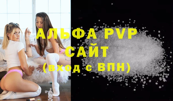 стаф Аркадак