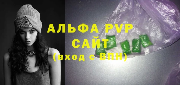стаф Аркадак