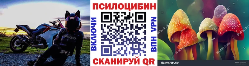 Галлюциногенные грибы Cubensis  Байкальск 